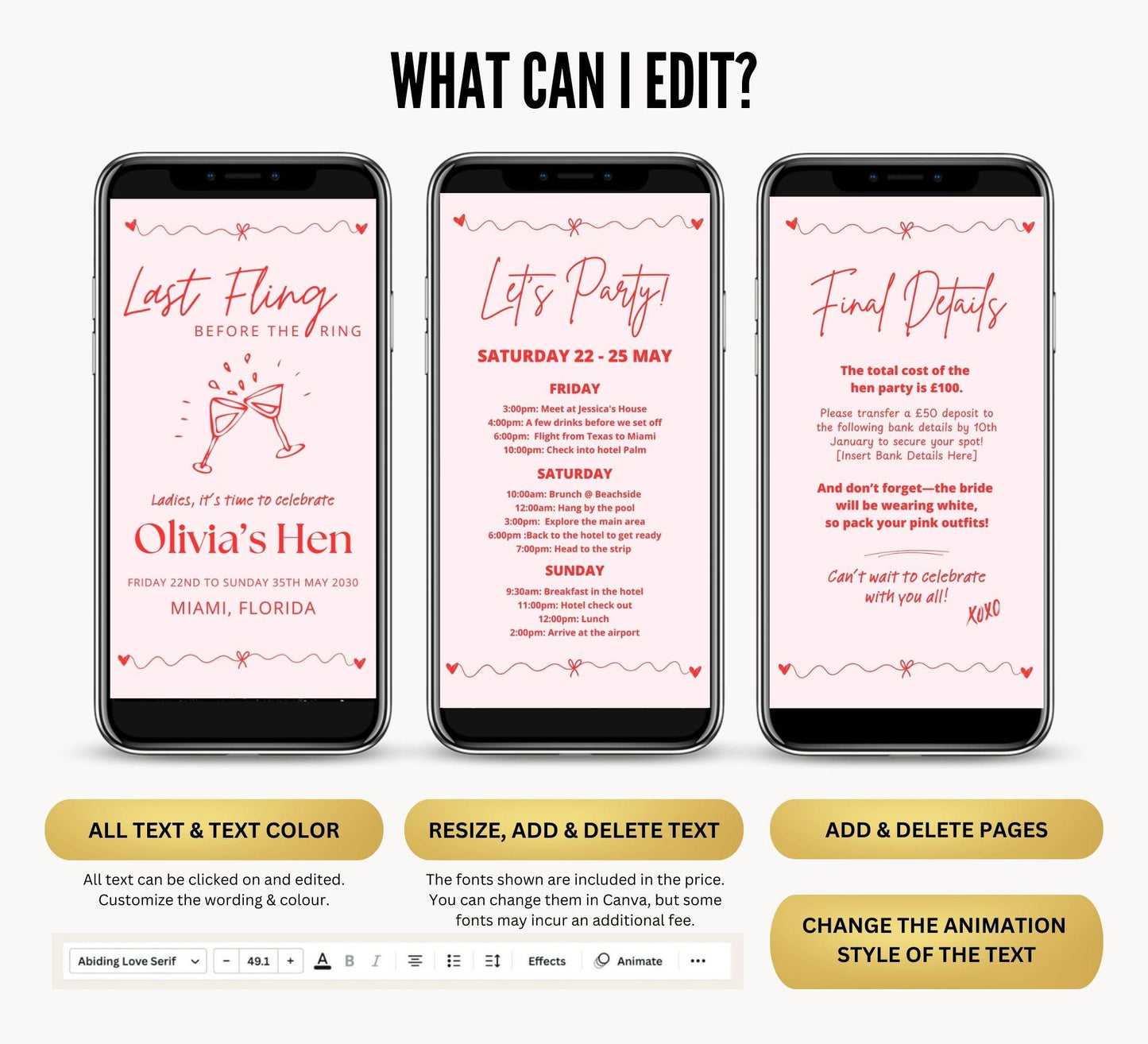 Hen Bachelorette Party Digital Itinerary
