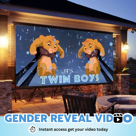 TWIN BOYS Gender Reveal Movie Video