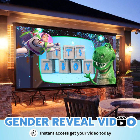 BOY Gender Reveal Movie Video