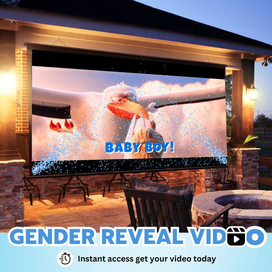 BOY Gender Reveal Movie Video