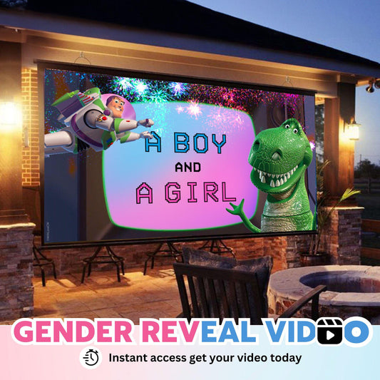 TWINS BOY & GIRL Gender Reveal Movie Video