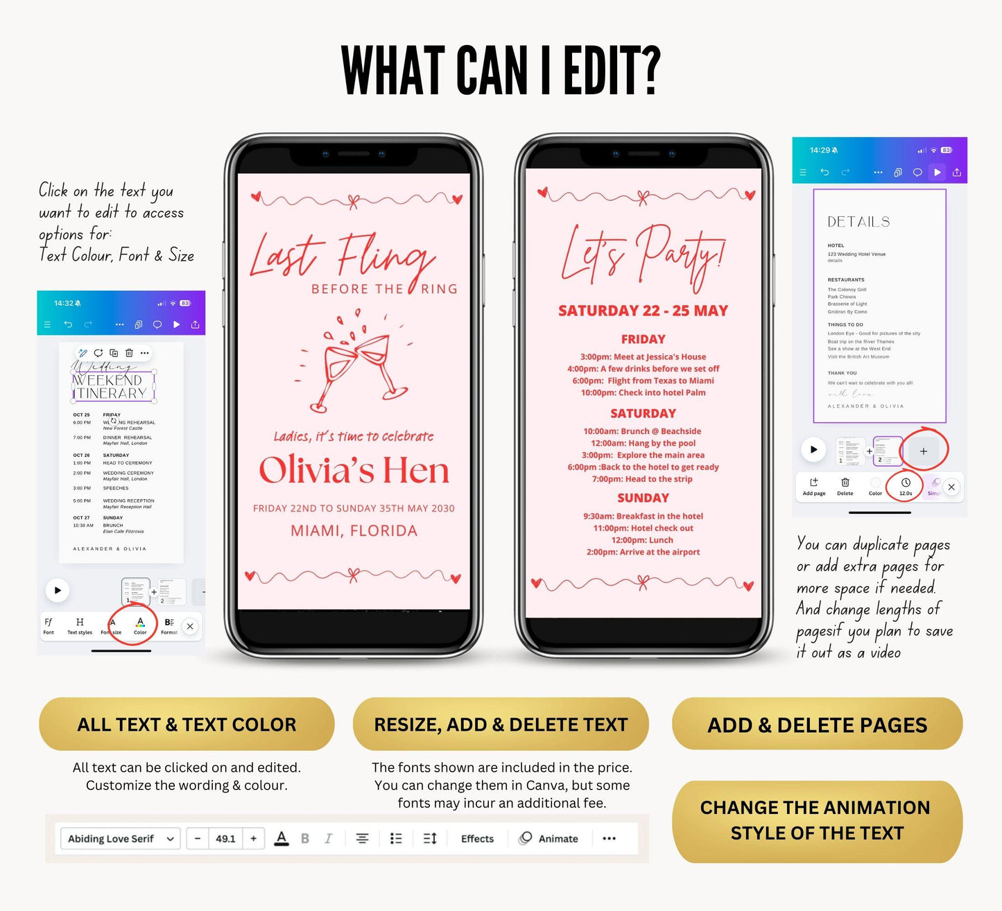 Hen Bachelorette Party Digital Itinerary