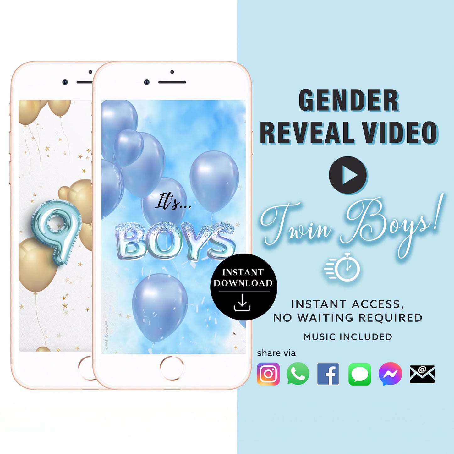 TWIN BOYS Baby Gender Reveal Video