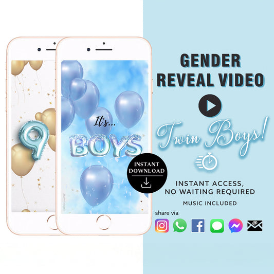 TWIN BOYS Baby Gender Reveal Video