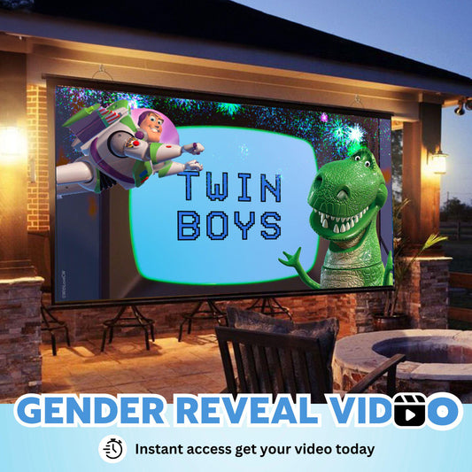 TWIN BOYS Gender Reveal Movie Video