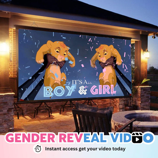 TWINS Boy & Girl Gender Reveal Movie Video