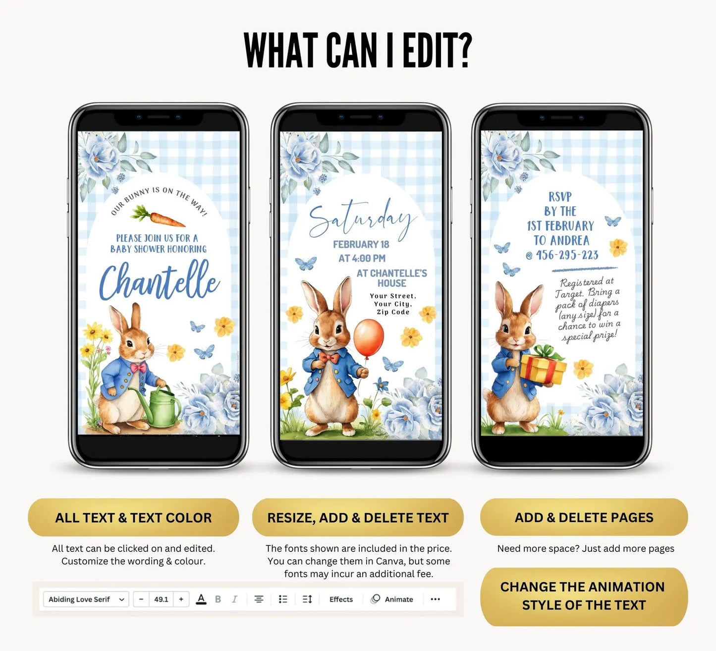 Baby Shower Video Invitation