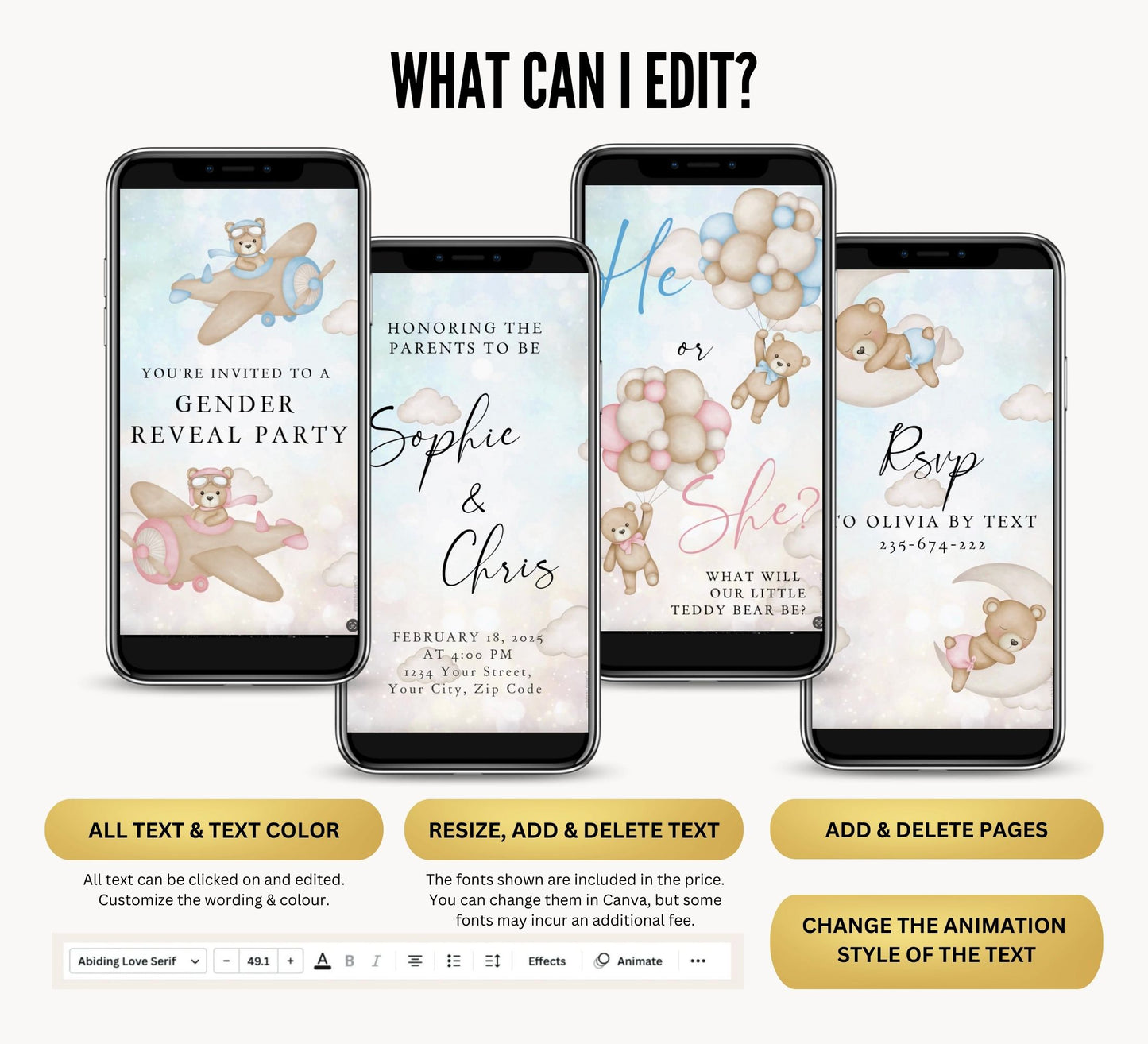 Gender Reveal Video Invitation