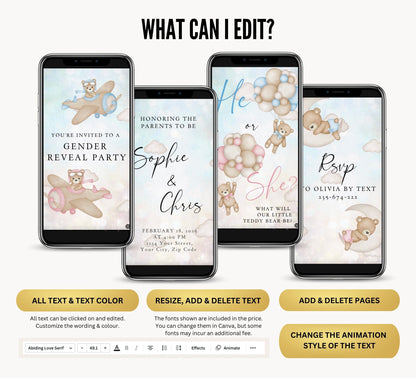 Gender Reveal Video Invitation