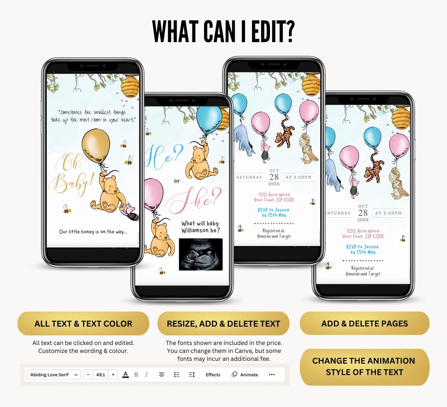 Gender Reveal Video Invitation