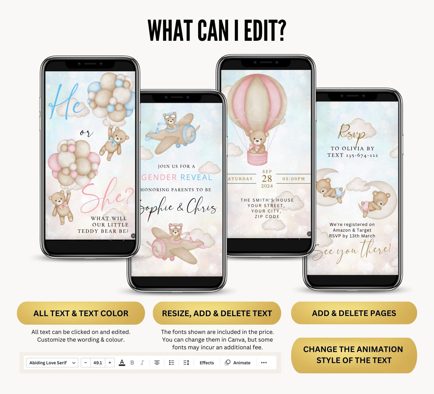 Gender Reveal Video Invitation