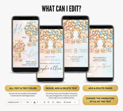 Gender Reveal Video Invitation