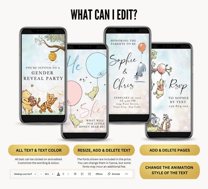 Gender Reveal Video Invitation