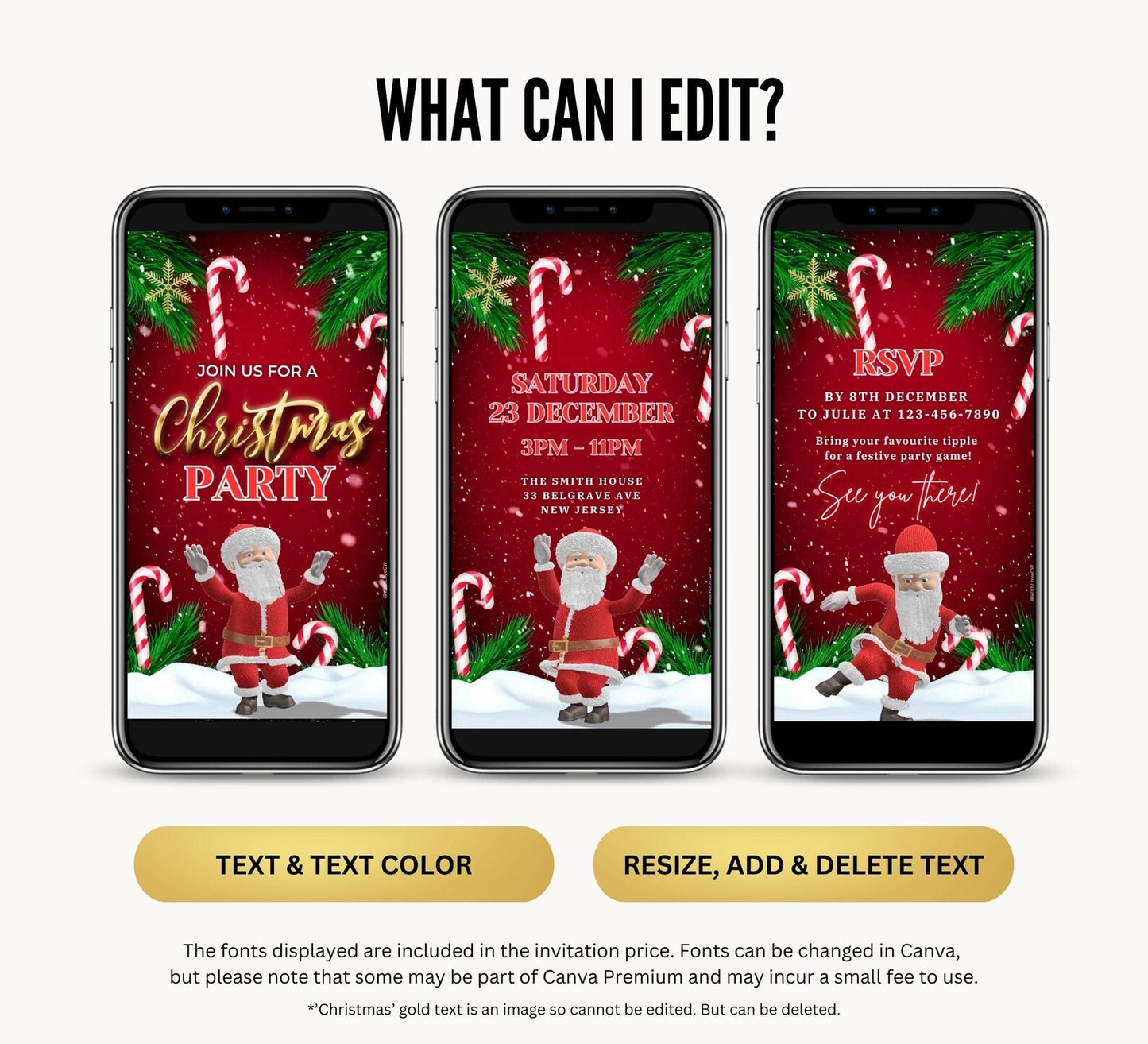Dancing Santa Christmas Party Video Invite
