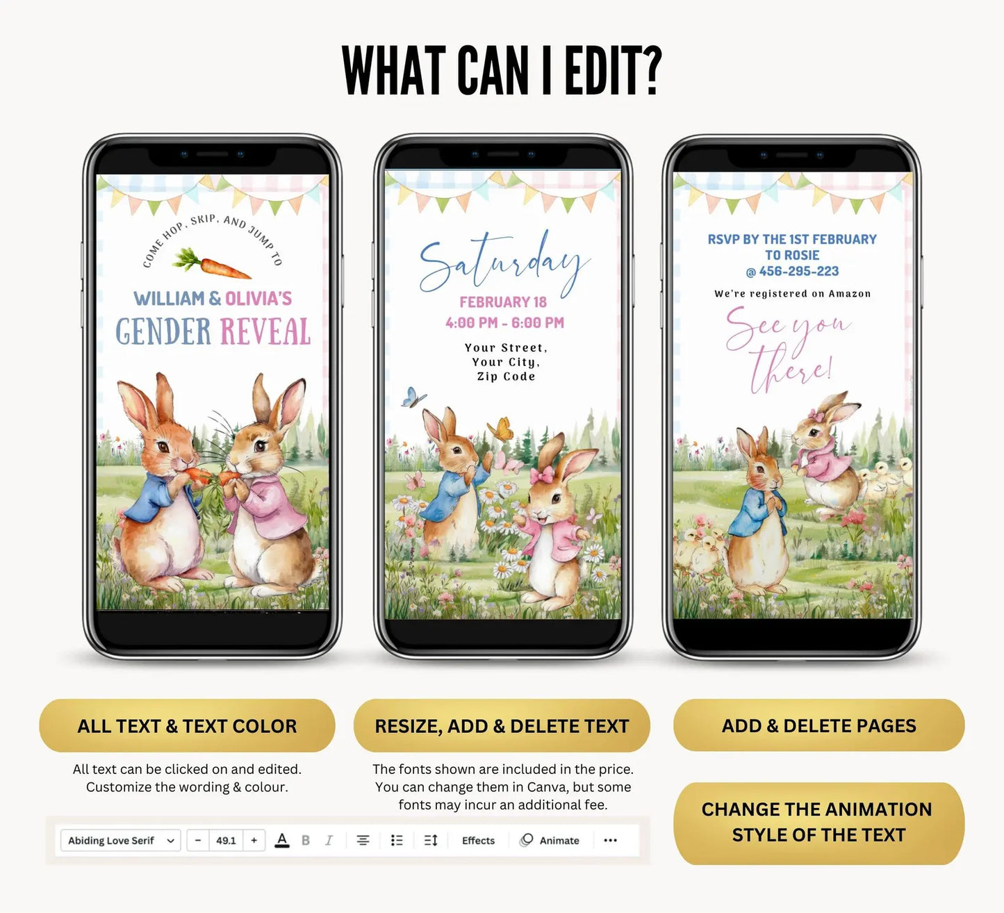 Gender Reveal Video Invitation