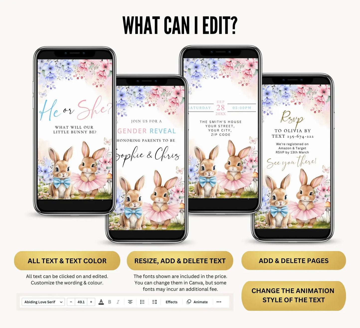 Gender Reveal Video Invitation