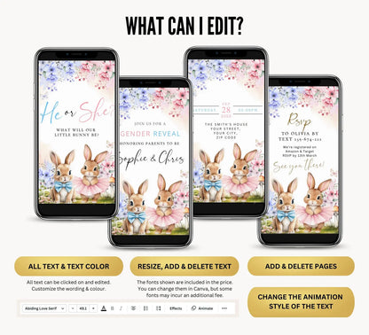 Gender Reveal Video Invitation