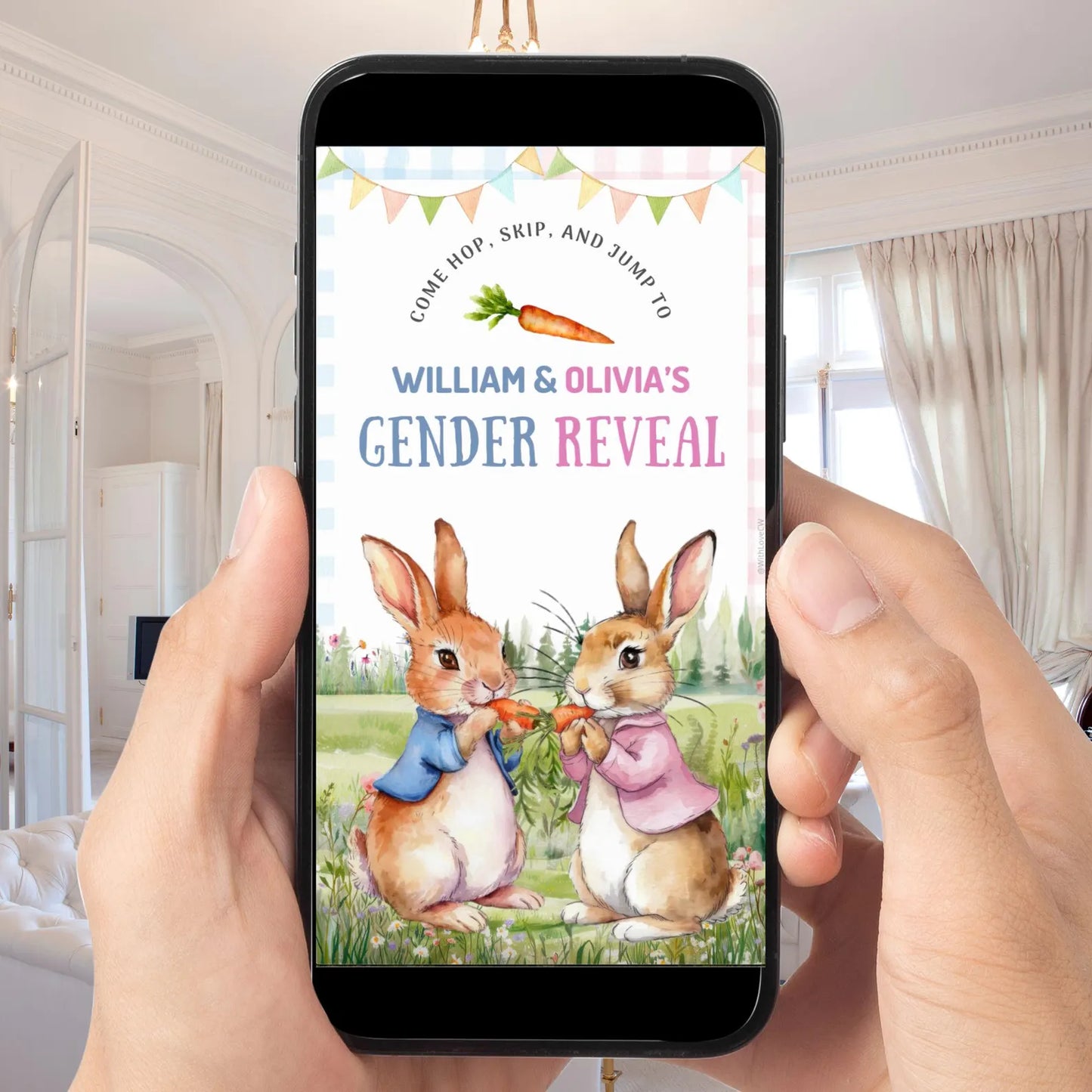 Gender Reveal Video Invitation