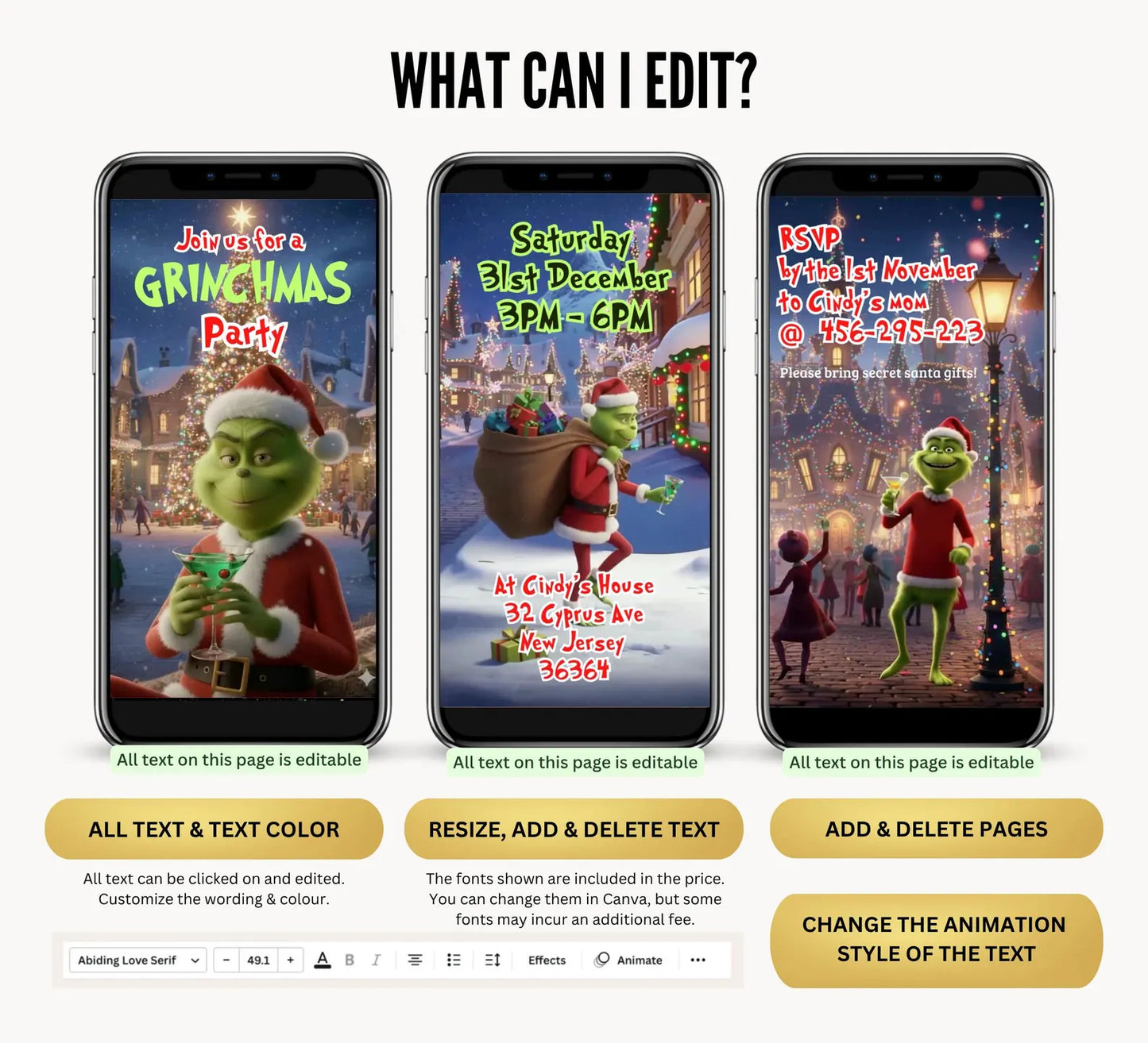 Holiday Cocktail Christmas Party Video Invite